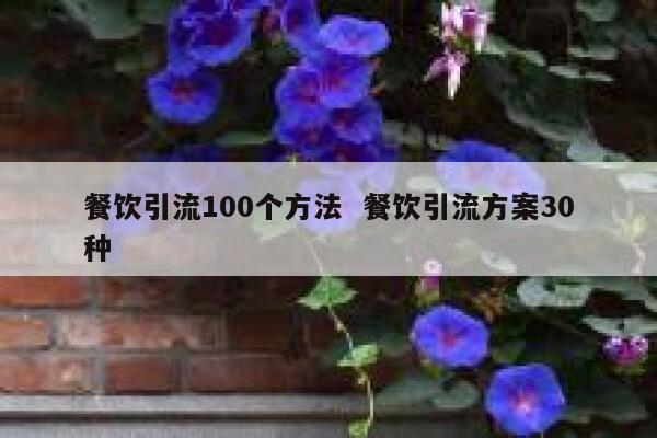 餐饮引流100个方法  餐饮引流方案30种