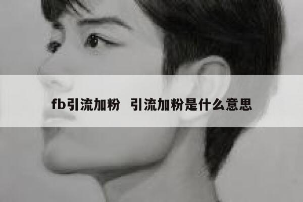 fb引流加粉  引流加粉是什么意思