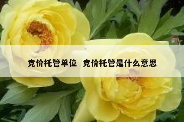 竞价托管单位  竞价托管是什么意思