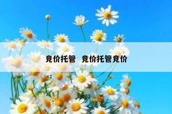 竞价托管  竞价托管竞价