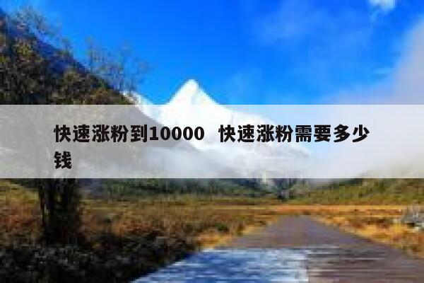 快速涨粉到10000  快速涨粉需要多少钱