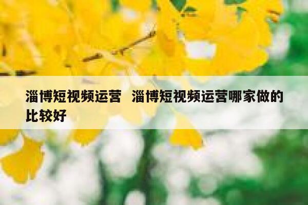 淄博短视频运营  淄博短视频运营哪家做的比较好 第1张