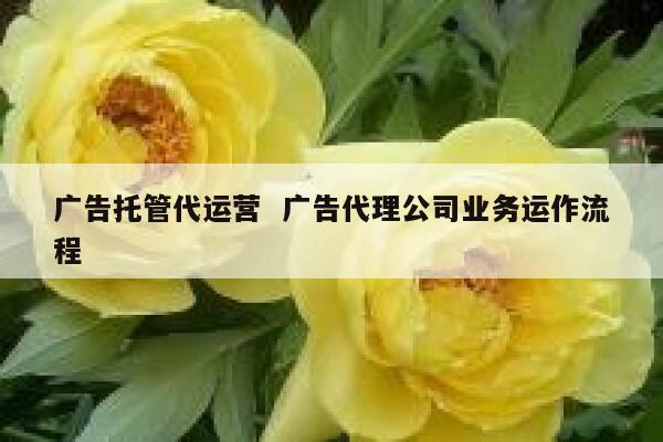 广告托管代运营  广告代理公司业务运作流程