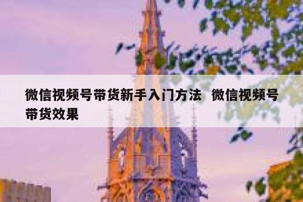 微信视频号带货新手入门方法  微信视频号带货效果