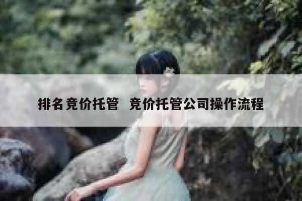 排名竞价托管  竞价托管公司操作流程