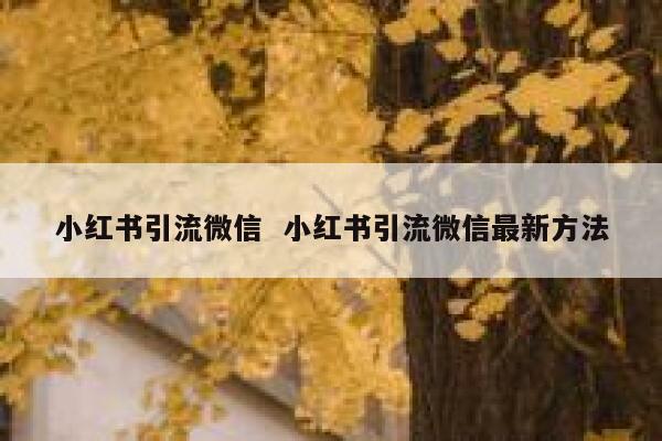小红书引流微信  小红书引流微信最新方法
