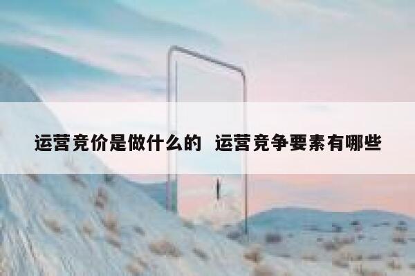 运营竞价是做什么的  运营竞争要素有哪些