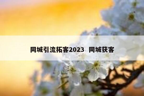 同城引流拓客2023  同城获客