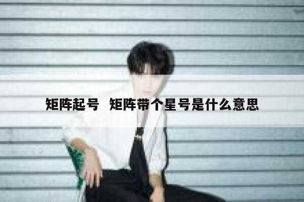 矩阵起号  矩阵带个星号是什么意思