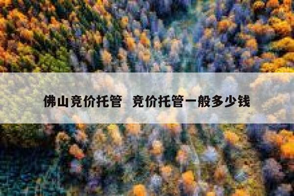 佛山竞价托管  竞价托管一般多少钱