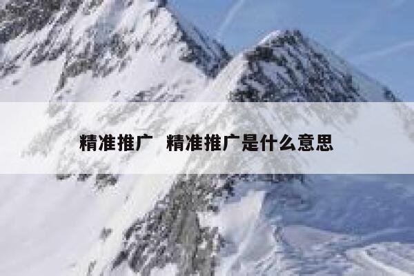 精准推广  精准推广是什么意思