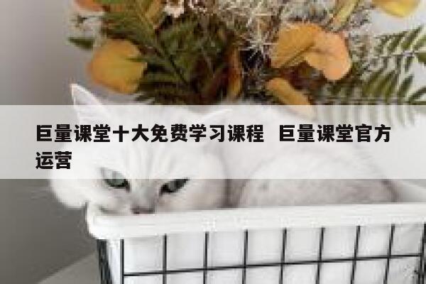 巨量课堂十大免费学习课程  巨量课堂官方运营