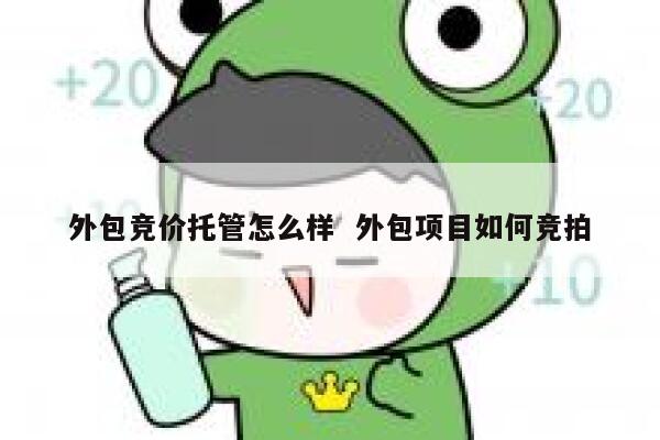 外包竞价托管怎么样  外包项目如何竞拍