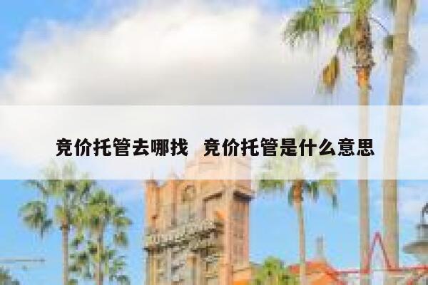 竞价托管去哪找  竞价托管是什么意思