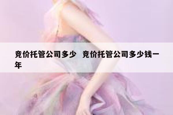 竞价托管公司多少  竞价托管公司多少钱一年