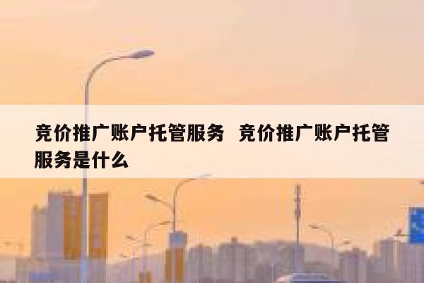 竞价推广账户托管服务  竞价推广账户托管服务是什么