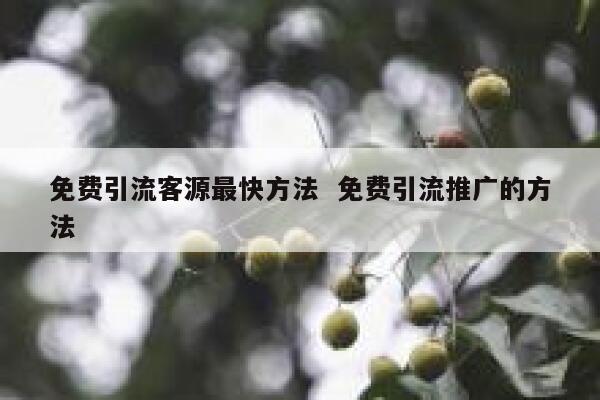 免费引流客源最快方法  免费引流推广的方法