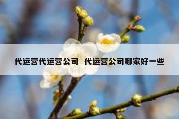代运营代运营公司  代运营公司哪家好一些
