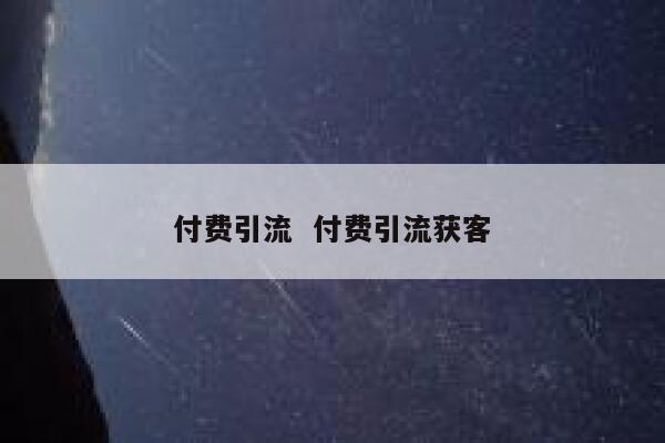 付费引流  付费引流获客