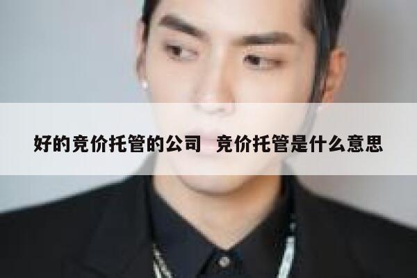 好的竞价托管的公司  竞价托管是什么意思