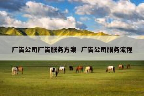 广告公司广告服务方案  广告公司服务流程