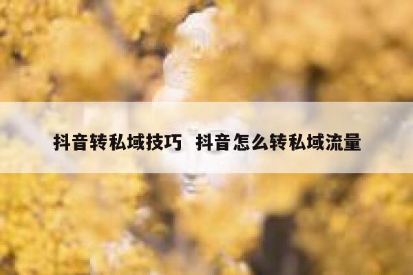 抖音转私域技巧  抖音怎么转私域流量