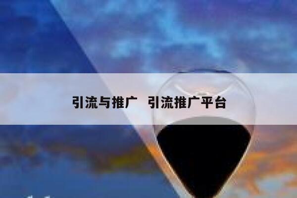 引流与推广  引流推广平台