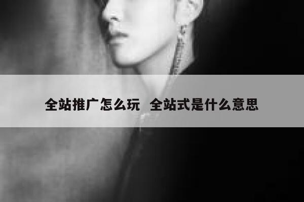 全站推广怎么玩  全站式是什么意思