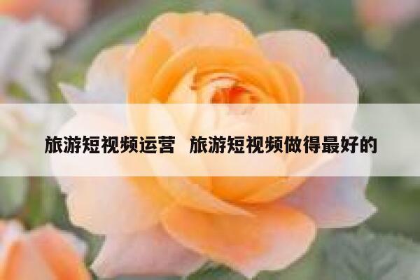 旅游短视频运营  旅游短视频做得最好的