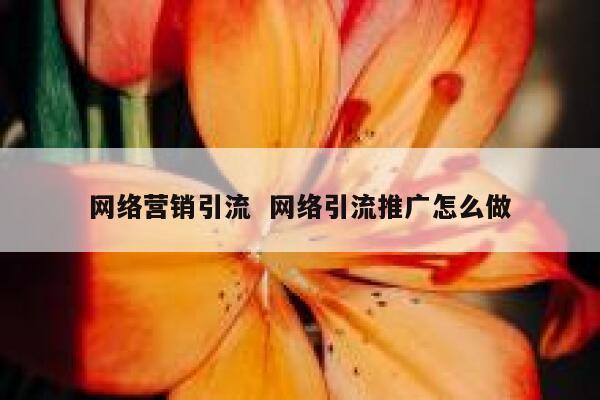 网络营销引流  网络引流推广怎么做 第1张