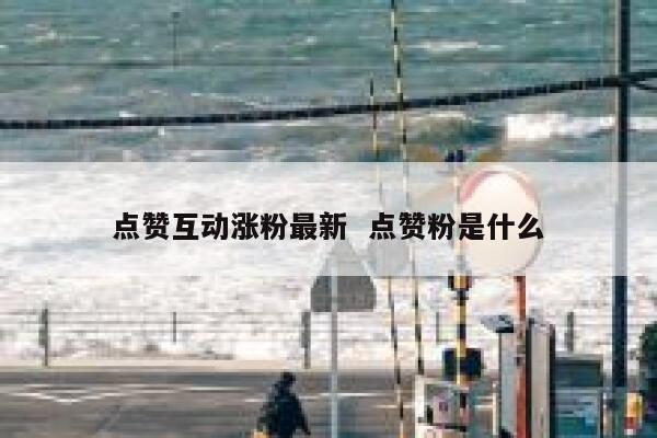 点赞互动涨粉最新  点赞粉是什么