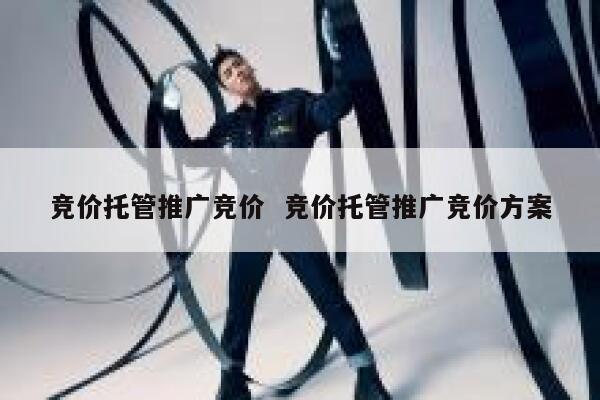 竞价托管推广竞价  竞价托管推广竞价方案