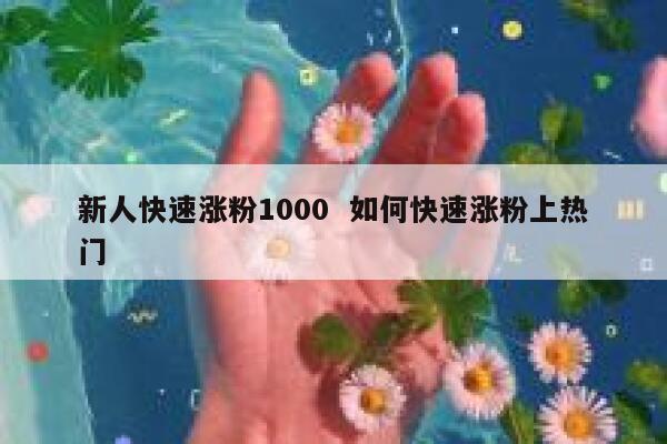 新人快速涨粉1000  如何快速涨粉上热门