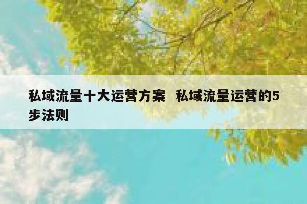 私域流量十大运营方案  私域流量运营的5步法则