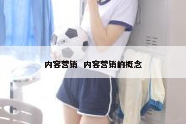 内容营销  内容营销的概念