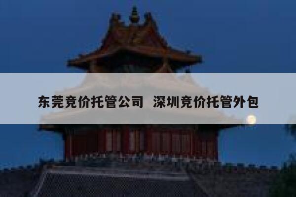 东莞竞价托管公司  深圳竞价托管外包