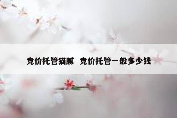 竞价托管猫腻  竞价托管一般多少钱