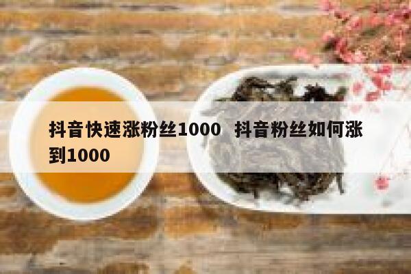 抖音快速涨粉丝1000  抖音粉丝如何涨到1000