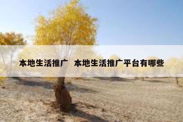 本地生活推广  本地生活推广平台有哪些