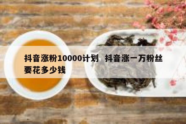 抖音涨粉10000计划  抖音涨一万粉丝要花多少钱