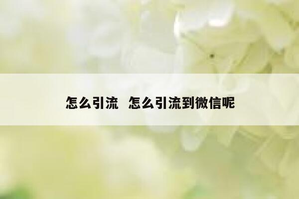怎么引流  怎么引流到微信呢