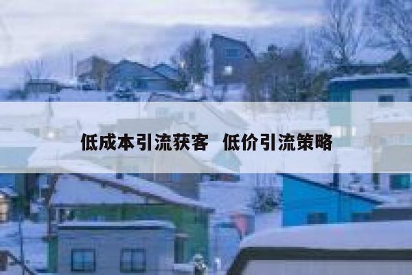 低成本引流获客  低价引流策略
