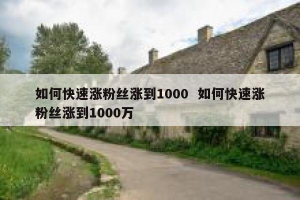 如何快速涨粉丝涨到1000  如何快速涨粉丝涨到1000万
