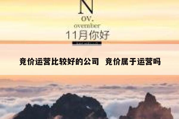 竞价运营比较好的公司  竞价属于运营吗
